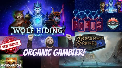 Gonzos the wild gambler deluxe Quest .